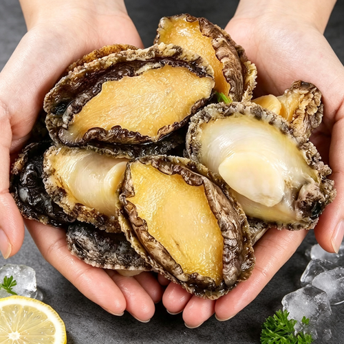 Abalone