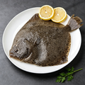 Halibut